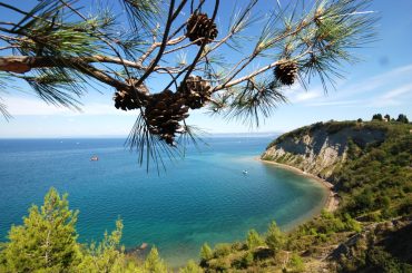 Od divje plaže pod flišnimi klifi do ekskluzive pod senčniki